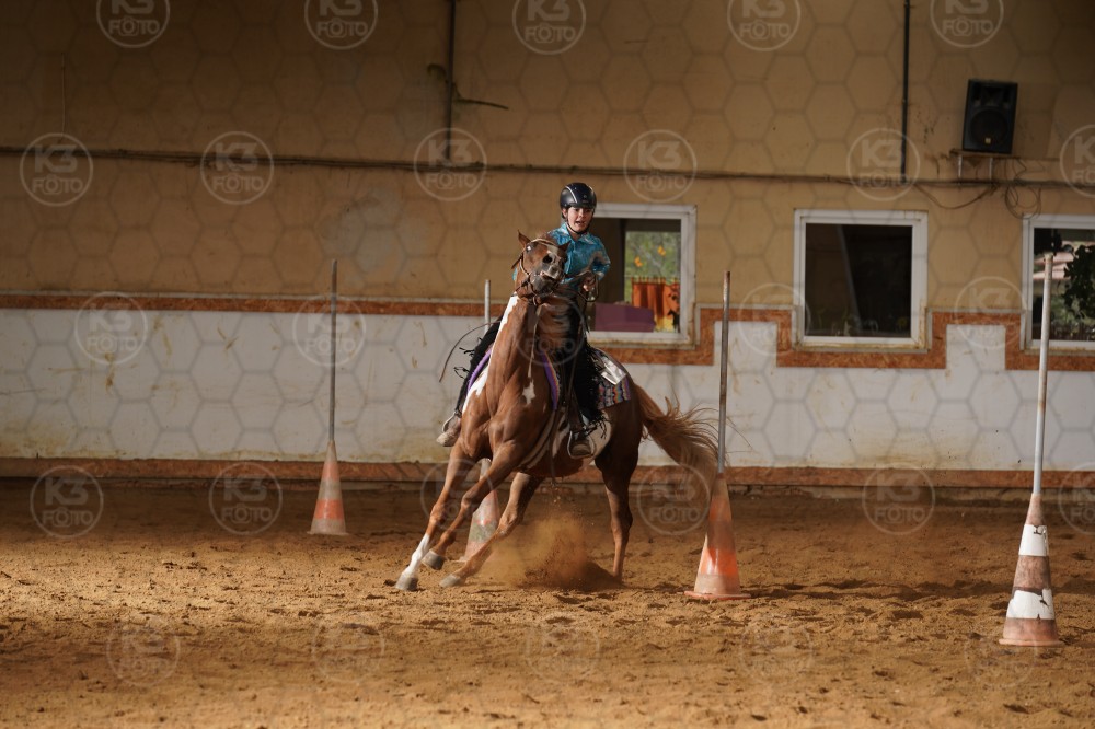 s_A9_01840.jpg